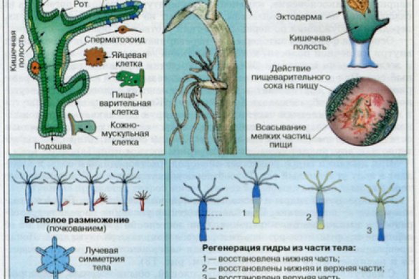 Как зайти на кракен дарк