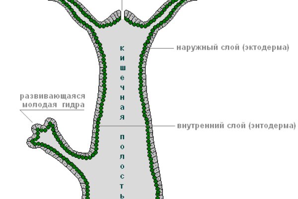 Как зайти на площадку кракен