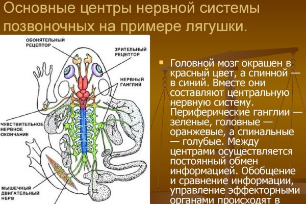 Kraken зеркало официальный